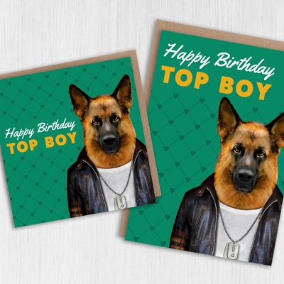 Tarjeta de cumpleaños del perro pastor alemán: Feliz cumpleaños chico top