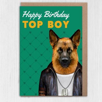 Carte d'anniversaire chien berger allemand : Joyeux anniversaire top boy 2