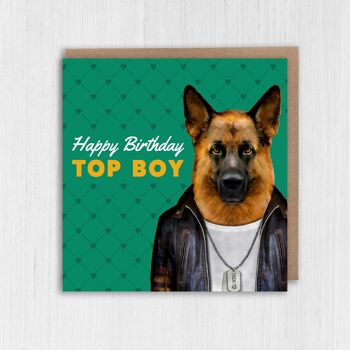 Carte d'anniversaire chien berger allemand : Joyeux anniversaire top boy 3