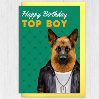 Carte d'anniversaire chien berger allemand : Joyeux anniversaire top boy 4