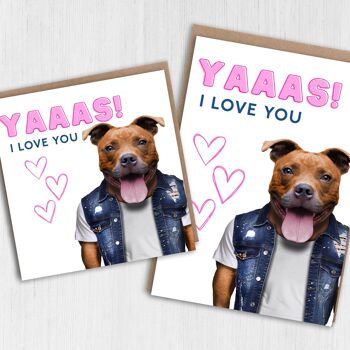 Anniversaire du chien Staffy, carte Saint Valentin : Yaaas je t'aime 1