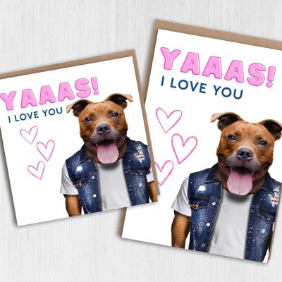 Staffy dog anniversary, Valentine’s card: Yaaas I love you