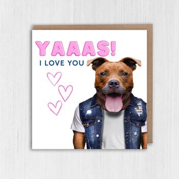 Anniversaire du chien Staffy, carte Saint Valentin : Yaaas je t'aime 3