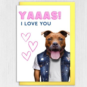 Anniversaire du chien Staffy, carte Saint Valentin : Yaaas je t'aime 4