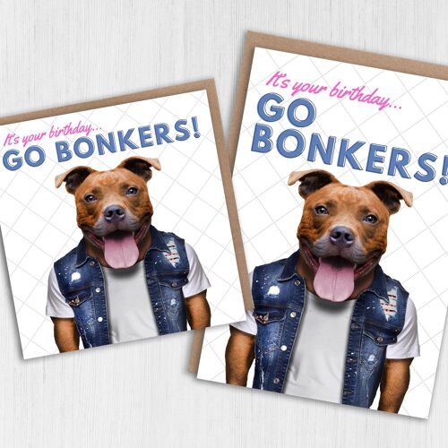 Staffy dog birthday card: Go bonkers