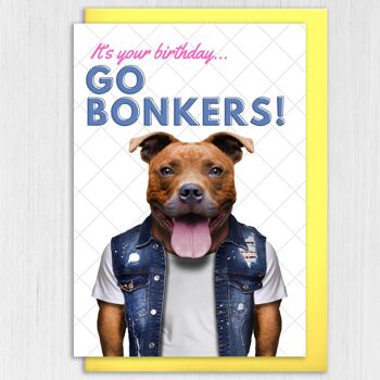 Carte d'anniversaire pour chien Staffy : Devenez dingue 4