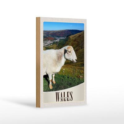 Cartello in legno da viaggio 12x18 cm Galles Regno Unito pecore prato natura