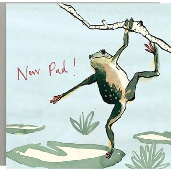 Nouvelle carte Pad Frog 1