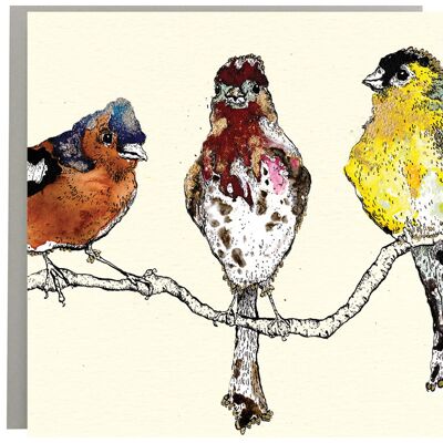 Finches Bird Card