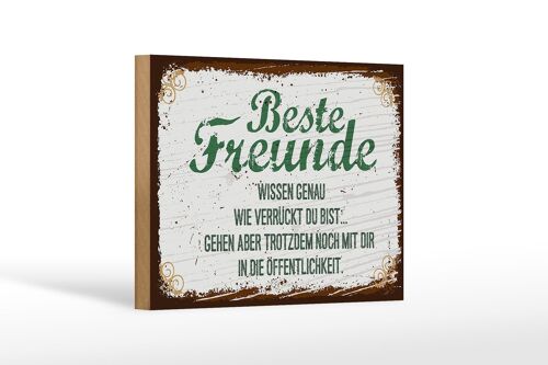 Holzschild Spruch Beste Freunde verrückt wissen genau 12x18 cm