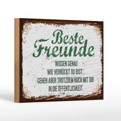 Holzschild Spruch Beste Freunde verrückt wissen genau 12x18 cm