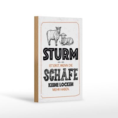 Holzschild Spruch lustig Sturm wenn Schafe Locken 12x18 cm