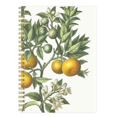 Cuaderno Citron Bigaradia