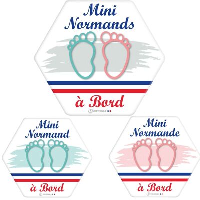 Ultra-strong Baby on Board Adhesive - Mini Norman(es)