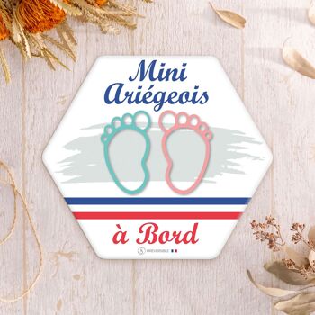 Adhésif bébé à Bord ultra-résistant - Mini ariègeois(es) 3