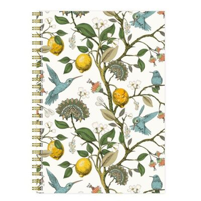 Notebook Hummingbird White