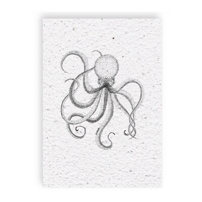 Groeikaart Octopus