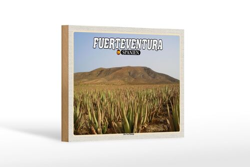 Holzschild Reise 18x12 cm Fuerteventura Spanien Aloe Vera Plantage