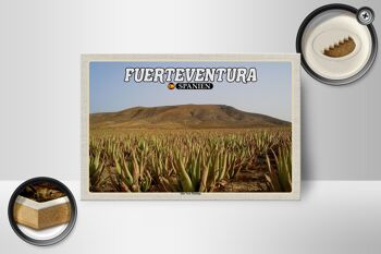 Panneau en bois voyage 18x12 cm Fuerteventura Espagne Plantation d'Aloe Vera 2