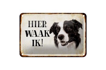 Panneau en étain avec inscription « Dutch Here Waak ik Border Collie », 18x12cm, décoration 1