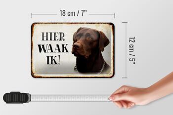 Panneau en étain disant 18x12cm, panneau néerlandais Here Waak ik brown Labrador 5
