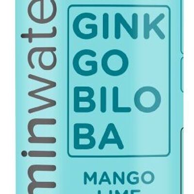 Vitaminwater Brainboost Ginkobiloba Cero Azúcar 600ml