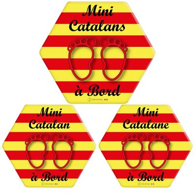Adesivo ultraresistente Bimbo a Bordo - Mini Catalan(es)