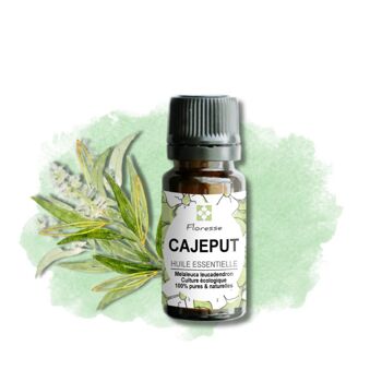 Huile essentielle de CAJEPUT - 10ML 2