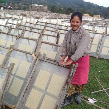 carte de voeux + bougie rose - papier écologique - "Félicitations" - fait main au Népal 4