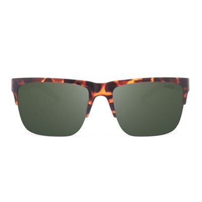 The Indian Face Frontier Tortoise / Green Sunglasses