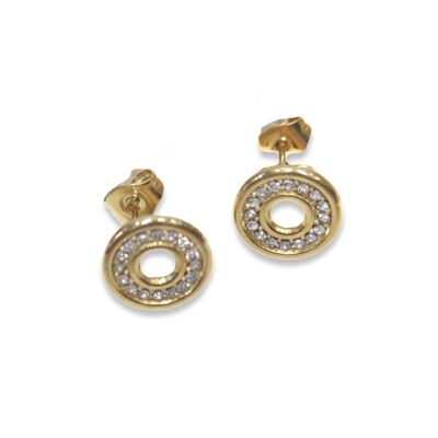 SST7011-131 Pendientes Acero Inoxidable