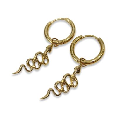 SST7011-134 Boucles d'oreilles Acier inoxydable