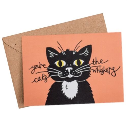 cats whiskers birthday card -A6