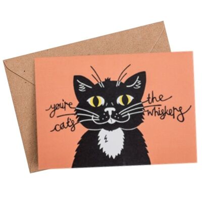 cats whiskers birthday card -A6