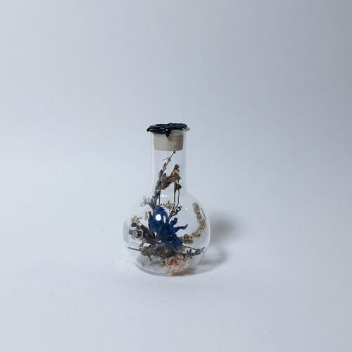 Dried Florals in Glass Sperare 100 ml Black Wax