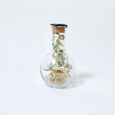 Dried Flowers in glass Sperare 250 black