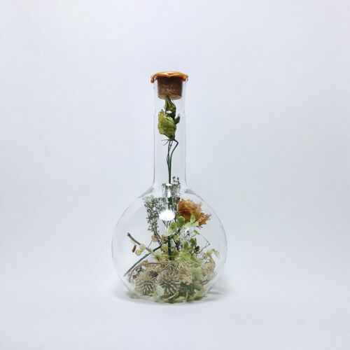 Dried Flowers in Glass Sperare 1000 ml yellow gold wax