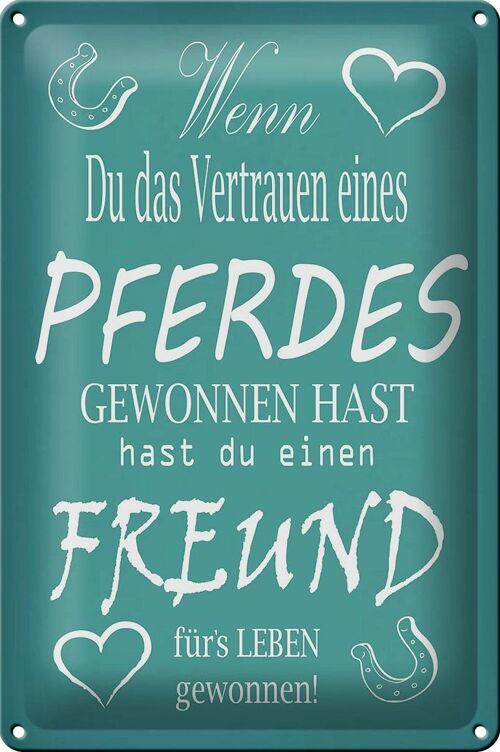 Blechschild Spruch 20x30cm Wenn du Vertrauen eines Pferdes