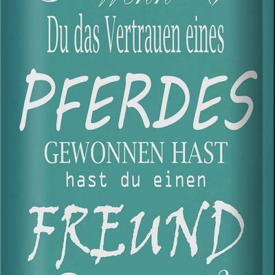 Blechschild Spruch 20x30cm Wenn du Vertrauen eines Pferdes