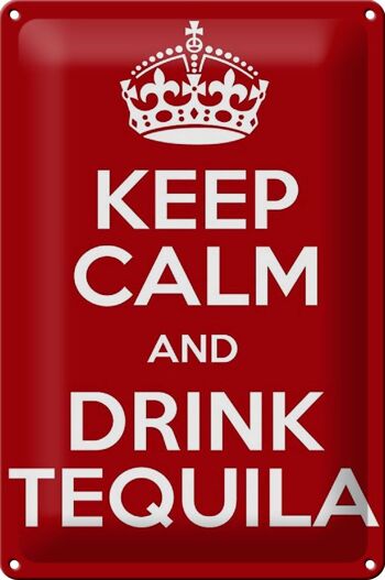 Plaque en étain 20x30cm Keep calm and Drink Tequila 1