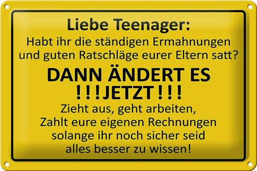 Blechschild Spruch 30x20cm Liebe Teenager - ÄNDERT ES