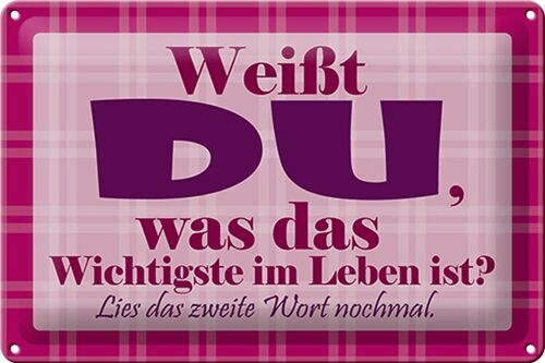 Blechschild Spruch 30x20cm Wichtigste bist DU