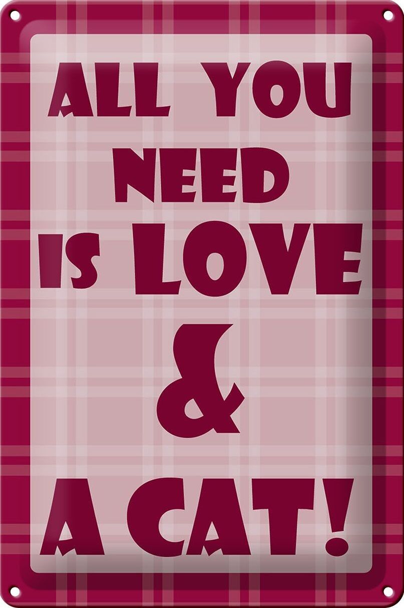 Blechschild Spruch 20x30cm Katze All you need & Cat