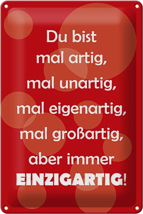 Blechschild Spruch 20x30cm Du bist Einzigartig