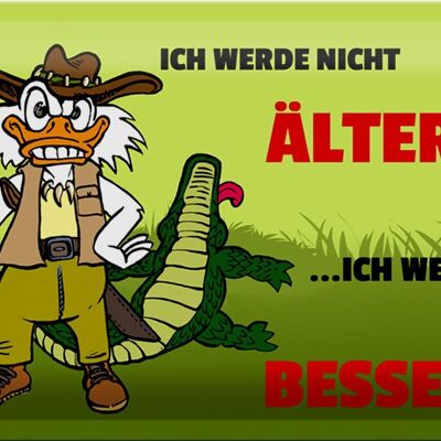 Blechschild Spruch 30x20cm Werde nicht älter werde besser