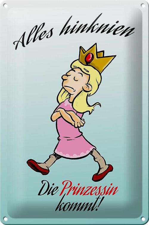 Blechschild Spruch 20x30cm Alles hinknien Prinzessin kommt