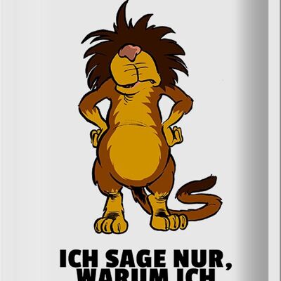 Blechschild Spruch 20x30cm Ich diskutiere nicht habe Recht