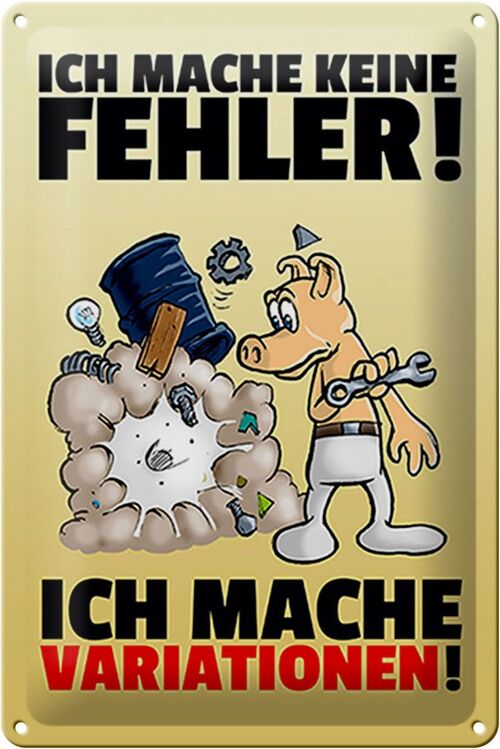 Blechschild Spruch 20x30cm keine Fehler mache Variationen