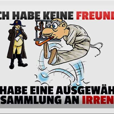 Blechschild Spruch 30x20cm keine Freunde Sammlung an Irren