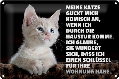 Blechschild Spruch 30x20cm Katze guckt mich komisch an